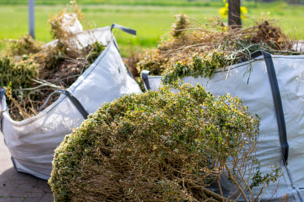 Best Yard Cleanup Services  in Malibu, CA